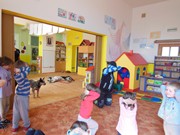 Bezpečný pes - kynologie